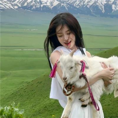 星际迷航：叛徒